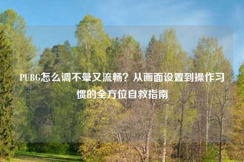PUBG怎么调不晕又流畅？从画面设置到操作习惯的全方位自救指南