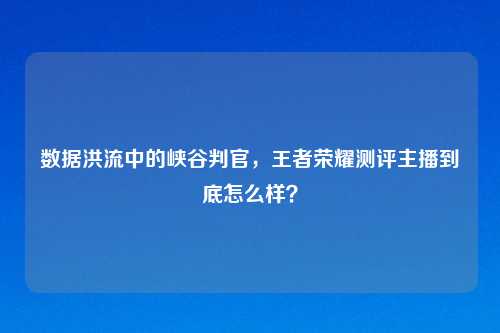 数据洪流中的峡谷判官，王者荣耀测评主播到底怎么样？