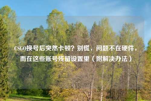 CSGO换号后突然卡顿？别慌，问题不在硬件，而在这些账号残留设置里（附解决办法）