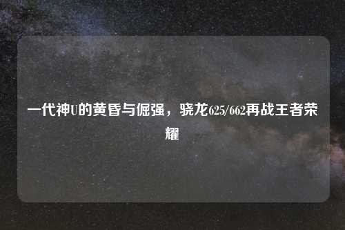 一代神U的黄昏与倔强,骁龙625/662再战王者荣耀