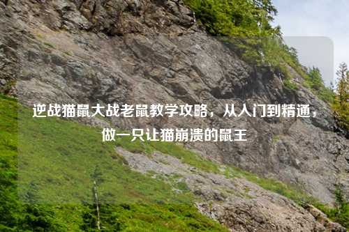 逆战猫鼠大战老鼠教学攻略，从入门到精通，做一只让猫崩溃的鼠王
