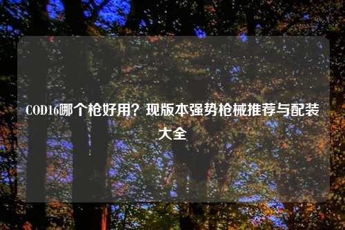 COD16哪个枪好用？现版本强势枪械推荐与配装大全