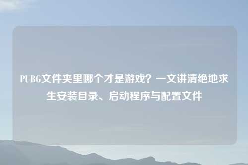 PUBG文件夹里哪个才是游戏?一文讲清绝地求生安装目录、启动程序与配置文件