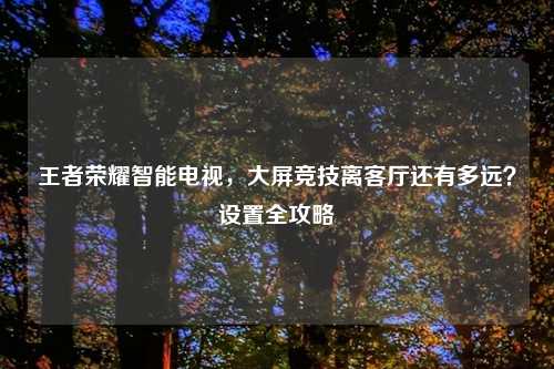 王者荣耀智能电视，大屏竞技离客厅还有多远？设置全攻略