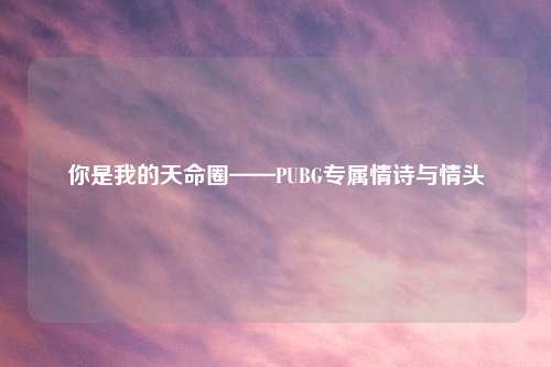 你是我的天命圈——PUBG专属情诗与情头