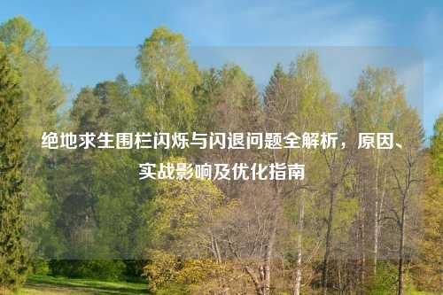 绝地求生围栏闪烁与闪退问题全解析，原因、实战影响及优化指南