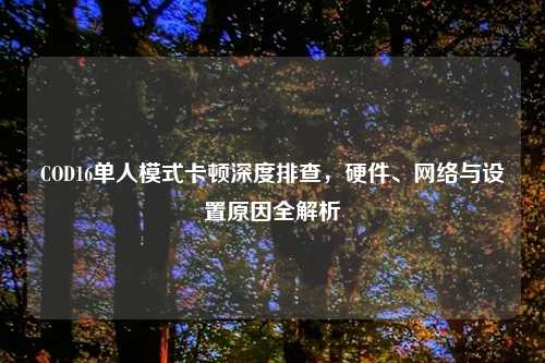 COD16单人模式卡顿深度排查，硬件、     与设置原因全解析