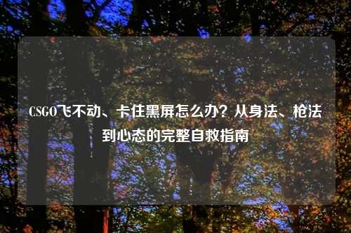 CSGO飞不动、卡住黑屏怎么办？从身法、枪法到心态的完整自救指南